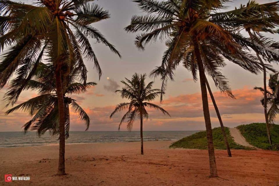 Imagem: D75_0300_1_2_3_4---Copia.jpg