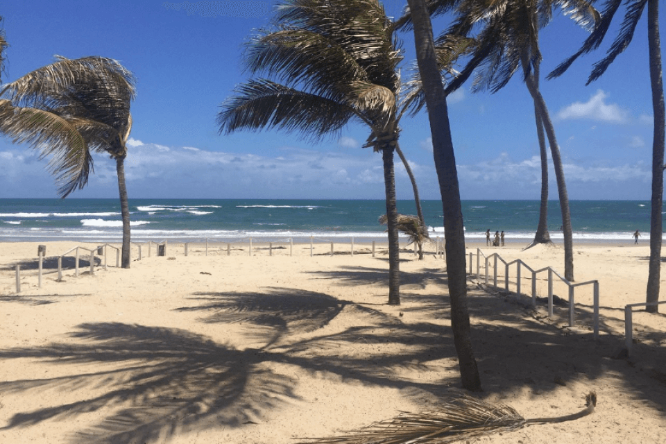 Imagem: Capturar-01.PNG