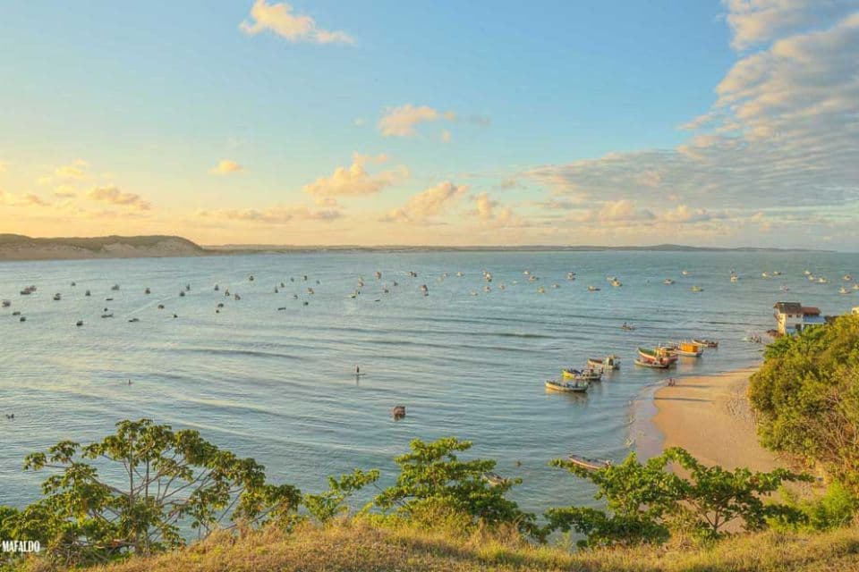 Imagem: D75_2713_4_5-1.jpg