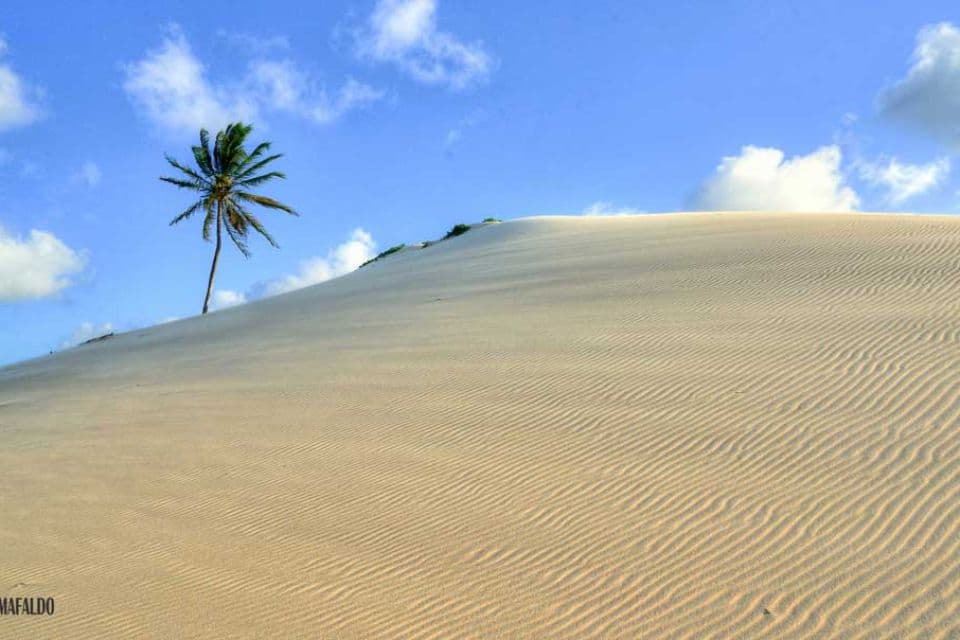 Imagem: D75_2179_80_81---Copia.jpg