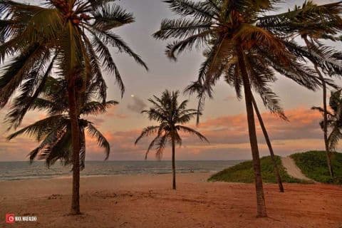 Imagem: D75_0300_1_2_3_4---Copia.jpg